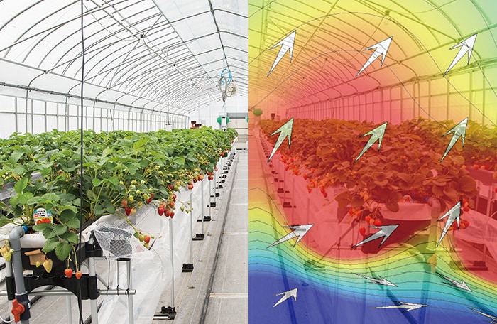 Cultivation & Environment Data Visualization