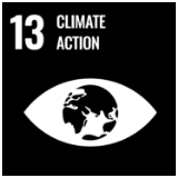 SDGs 13 CLIMATE ACTION