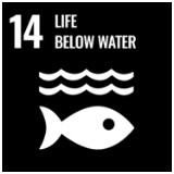 SDGs 14 LIFE BELOW WATER