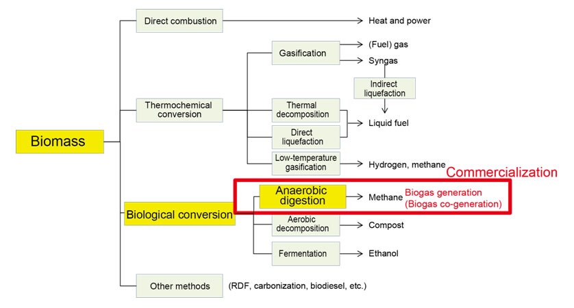 Overview of Biomass Energy Conversion